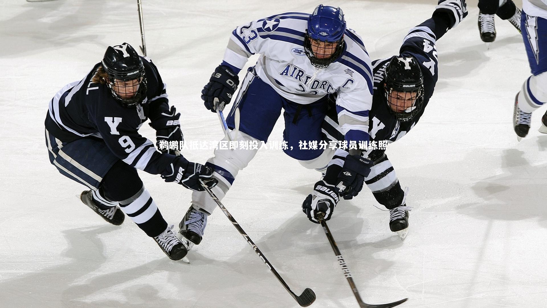 芒果体育网站_鹈鹕队抵达湾区即刻投入训练，社媒分享球员训练照